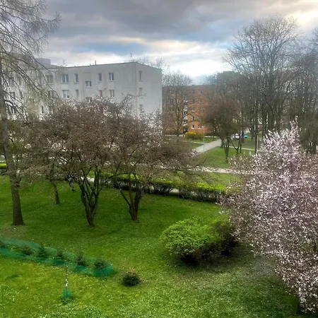Olo Apartment *